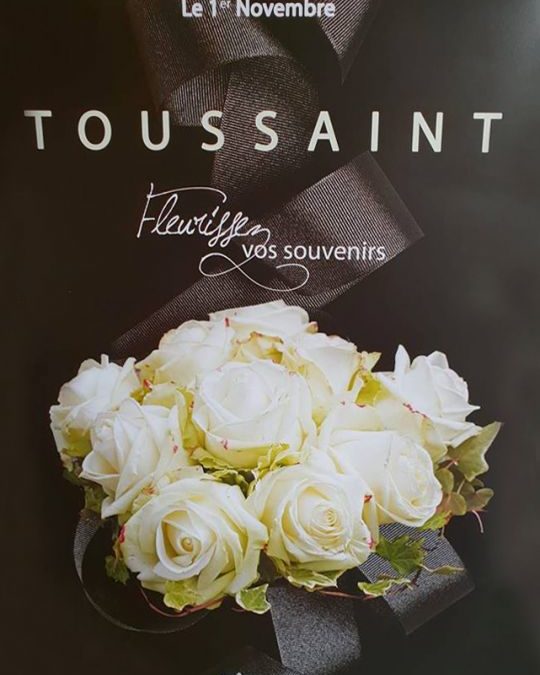 Toussaint - Au Jardin De Cecilia