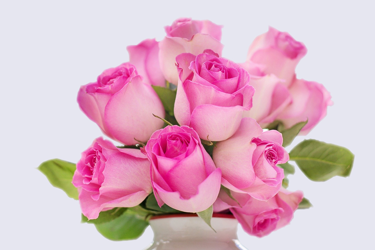 Bouquet de roses